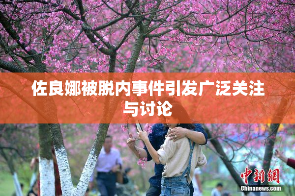 佐良娜被脱内事件引发广泛关注与讨论