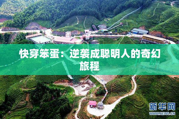 快穿笨蛋：逆袭成聪明人的奇幻旅程