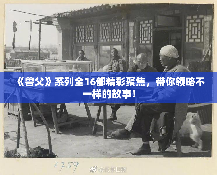 《兽父》系列全16部精彩聚焦，带你领略不一样的故事！
