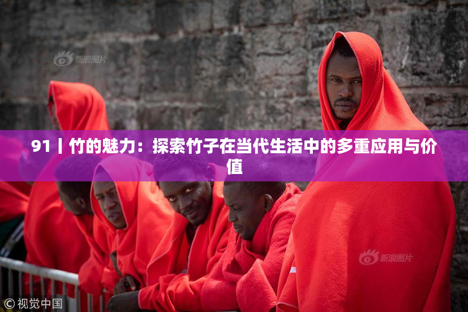 91丨竹的魅力：探索竹子在当代生活中的多重应用与价值