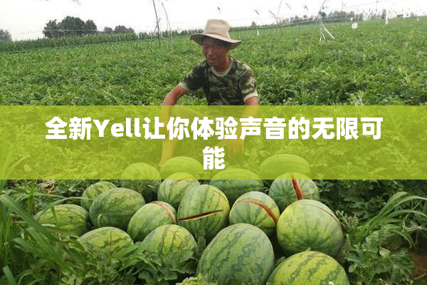 全新Yell让你体验声音的无限可能