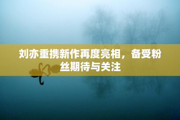 刘亦重携新作再度亮相，备受粉丝期待与关注