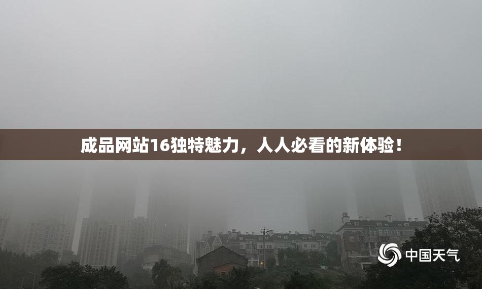 成品网站16独特魅力，人人必看的新体验！