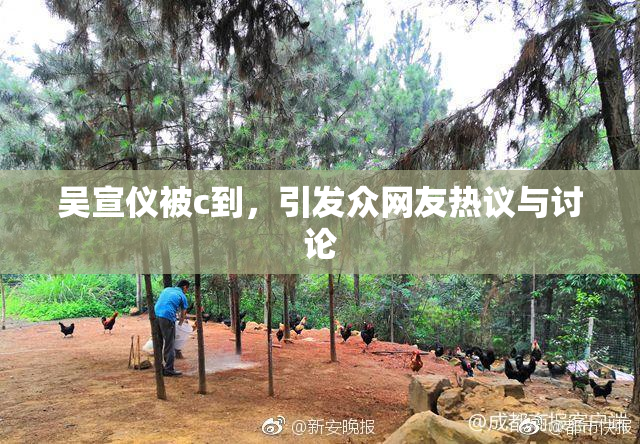 吴宣仪被c到，引发众网友热议与讨论