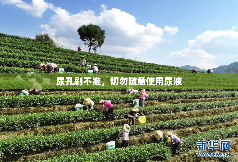 尿孔刷不准，切勿随意使用尿液