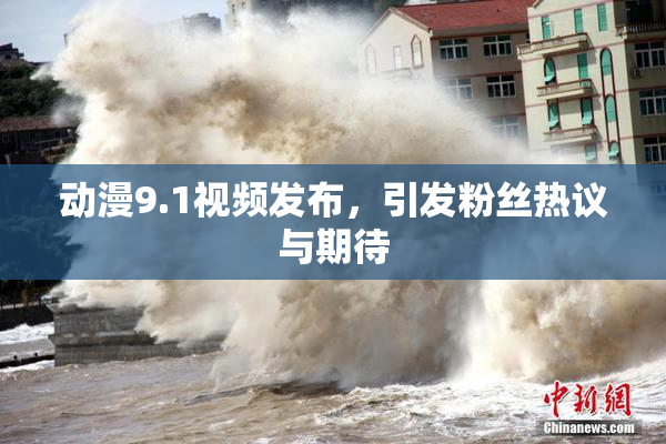 动漫9.1视频发布，引发粉丝热议与期待