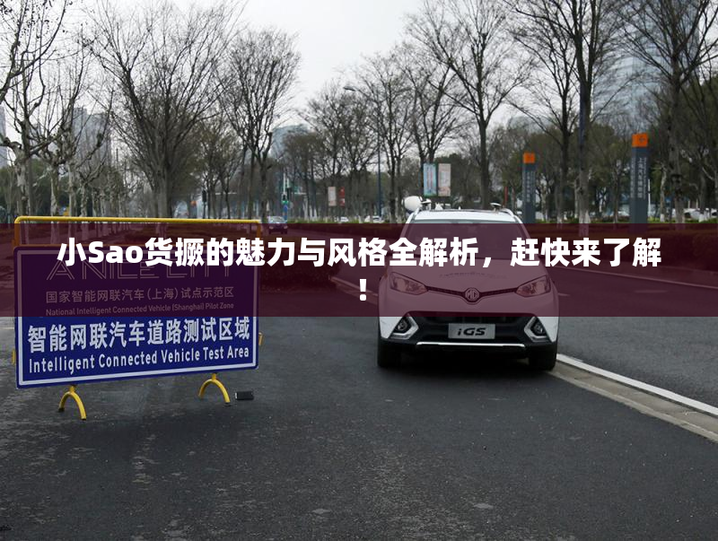小Sao货撅的魅力与风格全解析，赶快来了解！