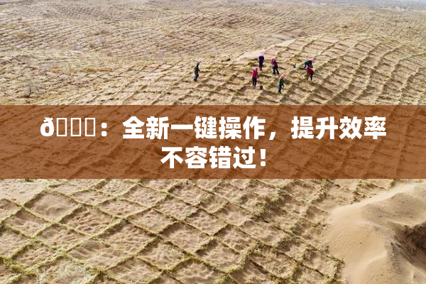🔞：全新一键操作，提升效率不容错过！