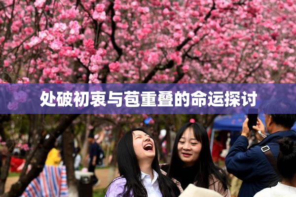 处破初衷与苞重叠的命运探讨