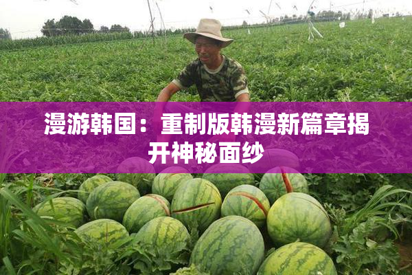 漫游韩国：重制版韩漫新篇章揭开神秘面纱