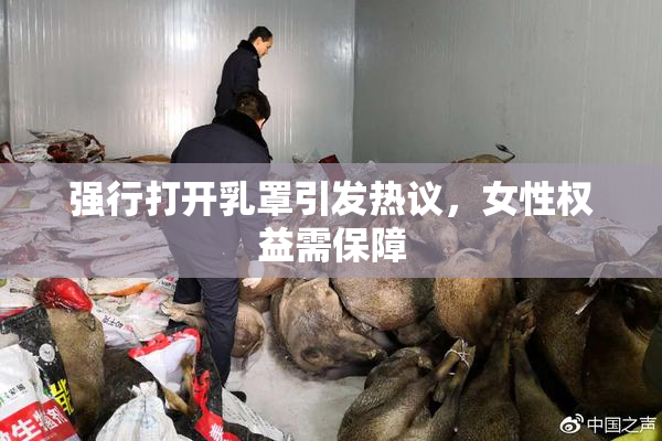 强行打开乳罩引发热议，女性权益需保障