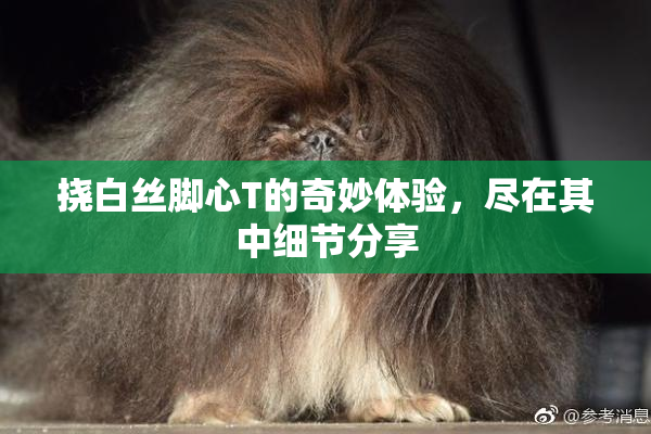 挠白丝脚心T的奇妙体验，尽在其中细节分享