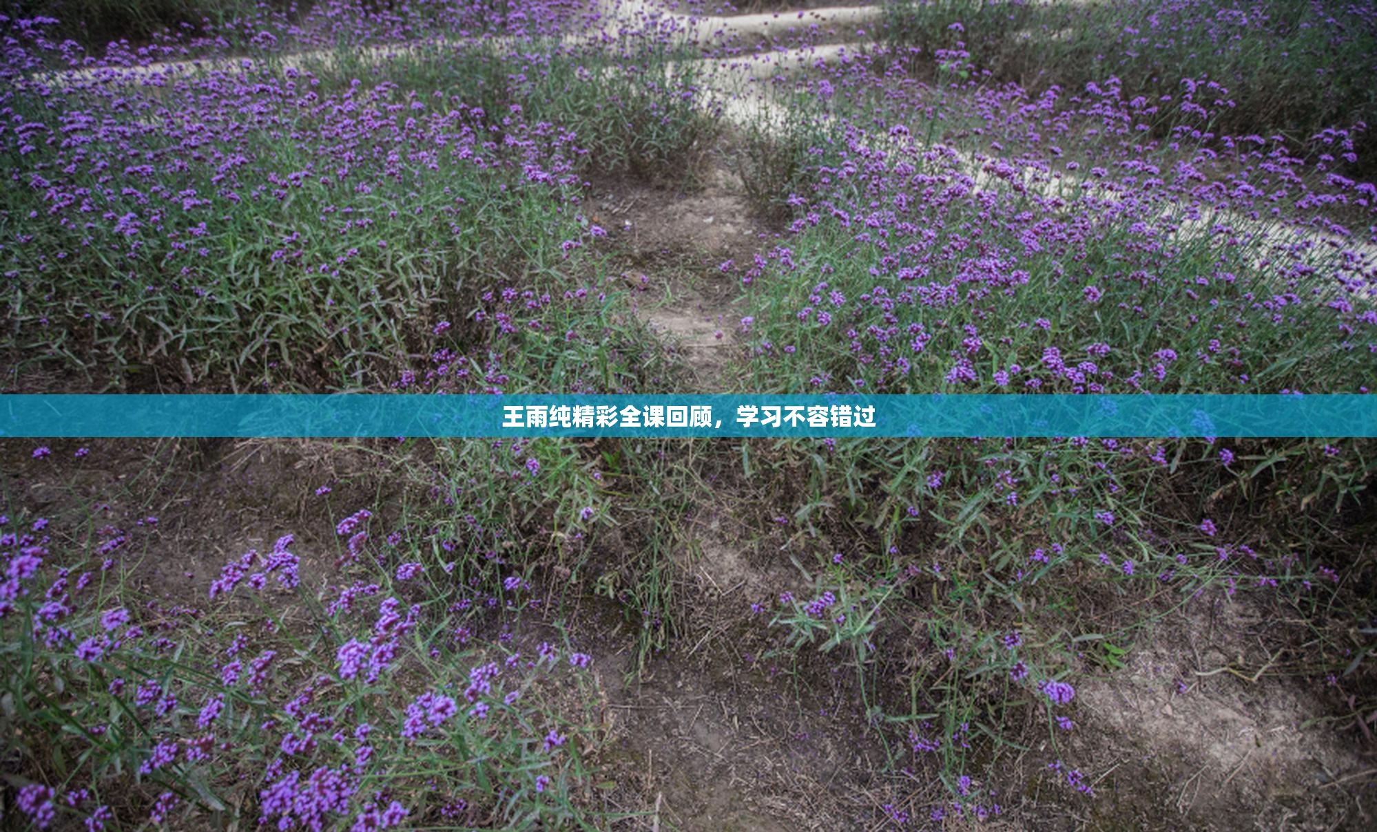 王雨纯精彩全课回顾，学习不容错过