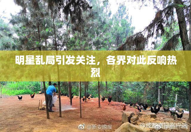 明星乱局引发关注，各界对此反响热烈