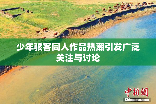 少年骇客同人作品热潮引发广泛关注与讨论