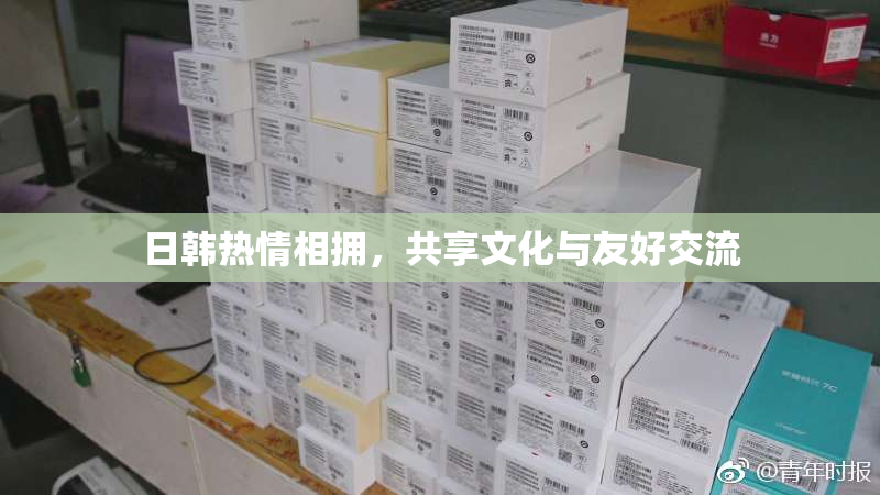 日韩热情相拥，共享文化与友好交流