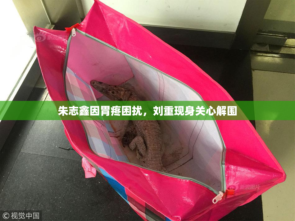 朱志鑫因胃疼困扰，刘重现身关心解围