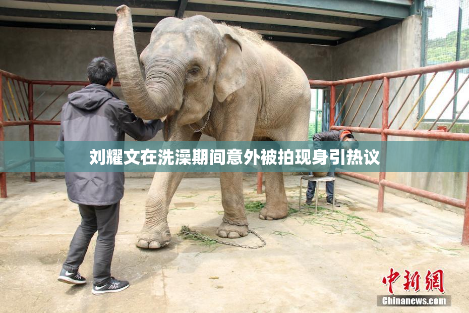 刘耀文在洗澡期间意外被拍现身引热议