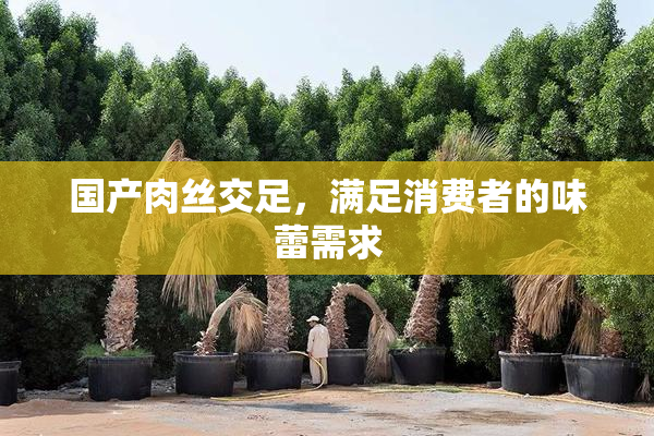 国产肉丝交足，满足消费者的味蕾需求