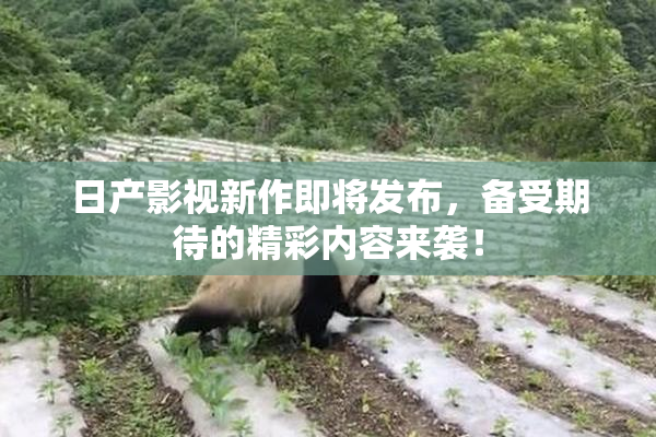 日产影视新作即将发布，备受期待的精彩内容来袭！
