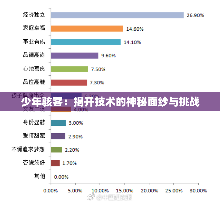 少年骇客：揭开技术的神秘面纱与挑战
