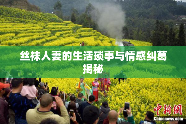 丝袜人妻的生活琐事与情感纠葛揭秘