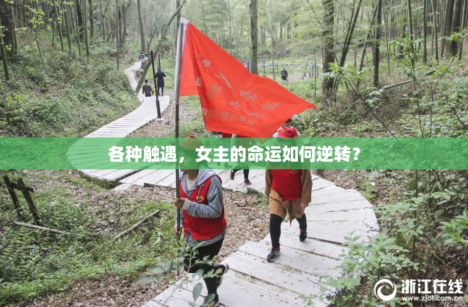 各种触遇，女主的命运如何逆转？