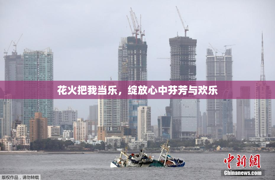 花火把我当乐，绽放心中芬芳与欢乐