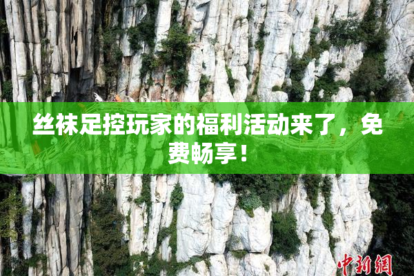 丝袜足控玩家的福利活动来了，免费畅享！