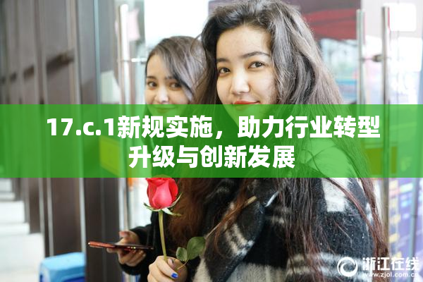17.c.1新规实施，助力行业转型升级与创新发展