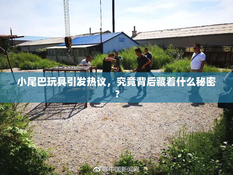 小尾巴玩具引发热议，究竟背后藏着什么秘密？