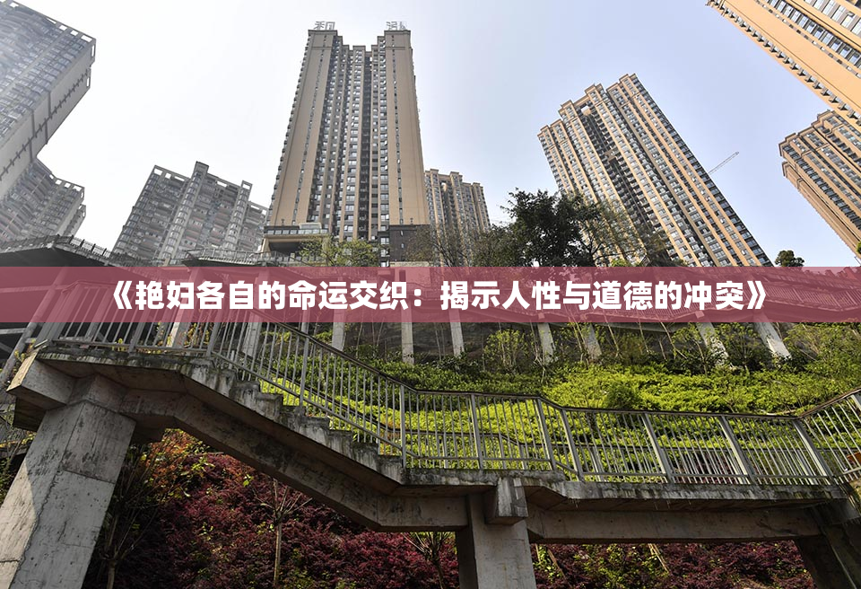 《艳妇各自的命运交织：揭示人性与道德的冲突》