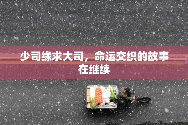 少司缘求大司，命运交织的故事在继续