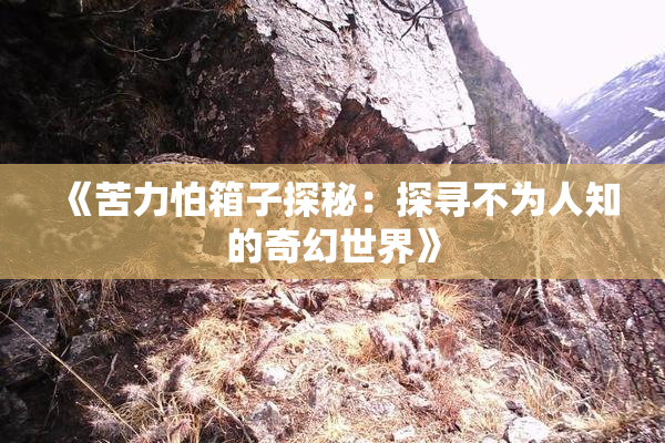 《苦力怕箱子探秘：探寻不为人知的奇幻世界》
