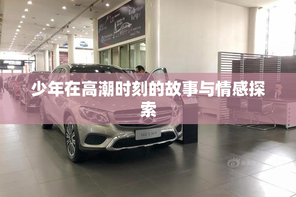 少年在高潮时刻的故事与情感探索