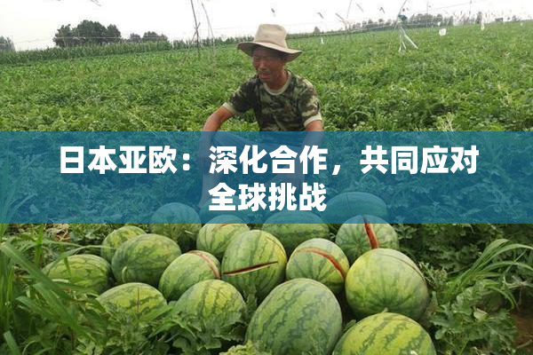 日本亚欧：深化合作，共同应对全球挑战