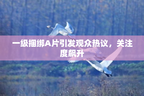 一级捆绑A片引发观众热议，关注度飙升