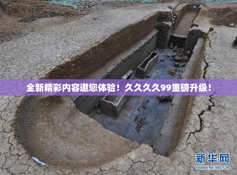 全新精彩内容邀您体验！久久久久99重磅升级！
