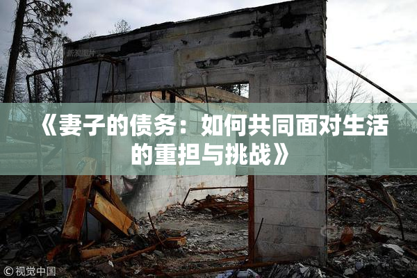 《妻子的债务：如何共同面对生活的重担与挑战》
