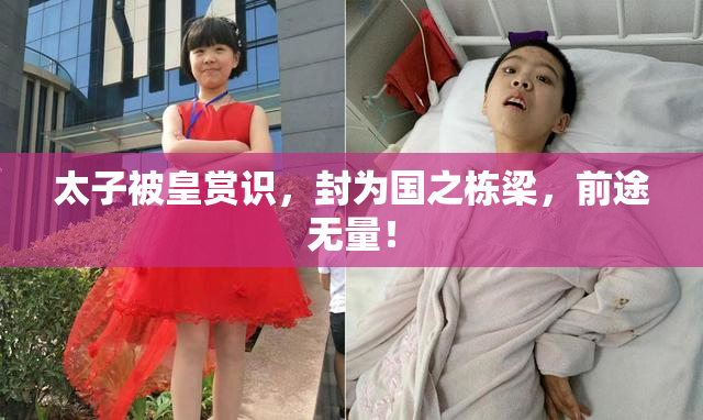 太子被皇赏识，封为国之栋梁，前途无量！