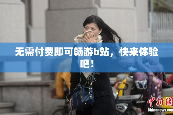 无需付费即可畅游b站，快来体验吧！