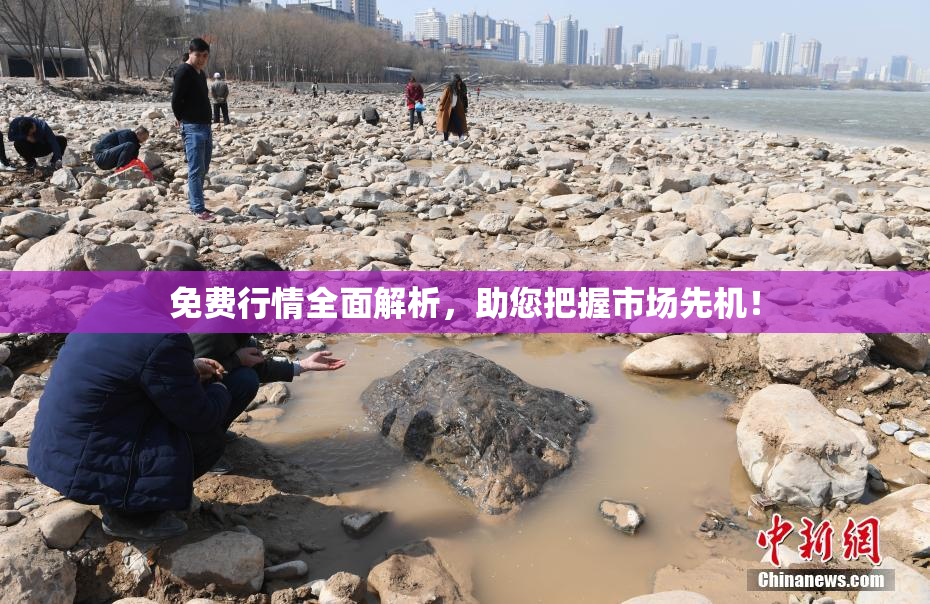 免费行情全面解析，助您把握市场先机！