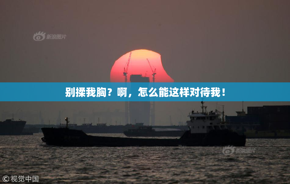 别揉我胸？啊，怎么能这样对待我！