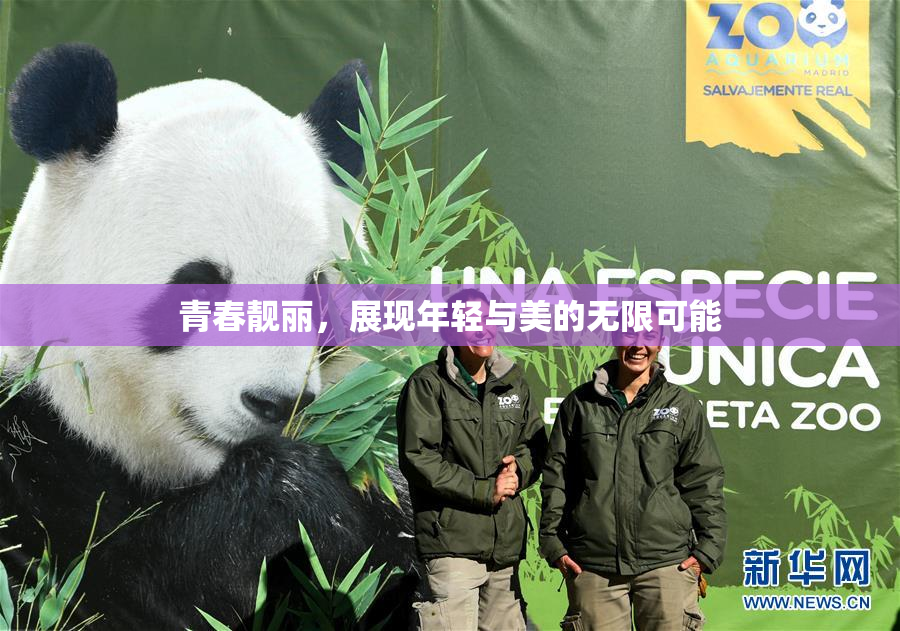 青春靓丽，展现年轻与美的无限可能
