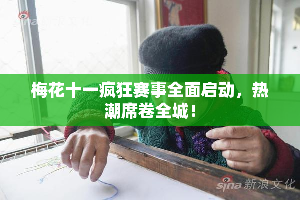 梅花十一疯狂赛事全面启动，热潮席卷全城！