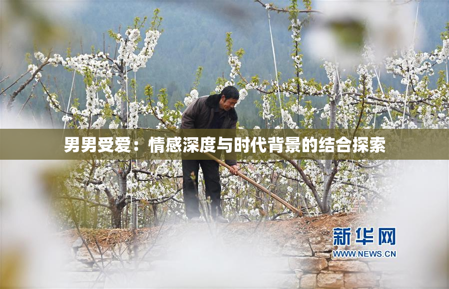 男男受爱：情感深度与时代背景的结合探索