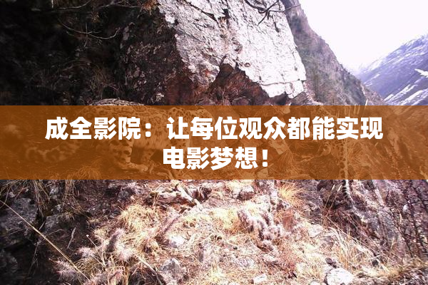成全影院：让每位观众都能实现电影梦想！
