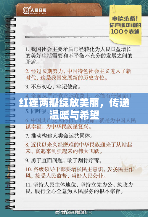 红莲两瓣绽放美丽，传递温暖与希望