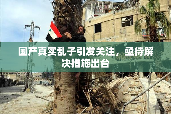国产真实乱子引发关注，亟待解决措施出台