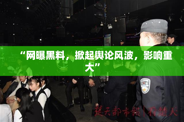 “网曝黑料，掀起舆论风波，影响重大”